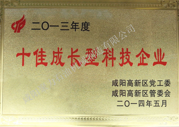 十佳成長(zhǎng)型科技企業(yè)證書