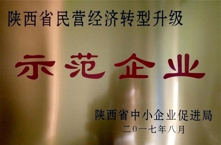 陜西省民營經(jīng)濟(jì)轉(zhuǎn)型升級示范企業(yè)